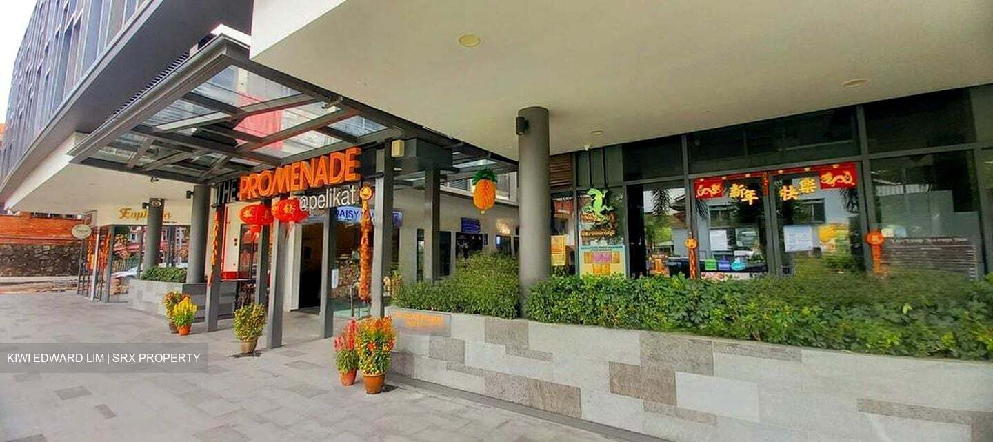 The Promenade@Pelikat (D19), Shop House #456376121